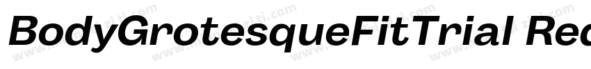 BodyGrotesqueFitTrial Reqular字体转换